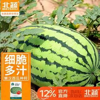 Beishu lazy man watermelon seed seedlings giant extra large super sweet fruit seed lazy man watermelon seeds about 50