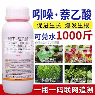Indole naphthalene acetic acid 5% indole butyric acid fruit tree flower transplanting cuttings root root strengthening liquid powder 500g