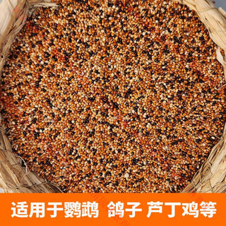 Five-color millet bird feed mixed grain rutin, chicken millet, tiger skin, peony, black phoenix, small and medium-sized parrots 1jin jin equals 0.5kg 5jin jin equals 0.5kg 500g five-color millet