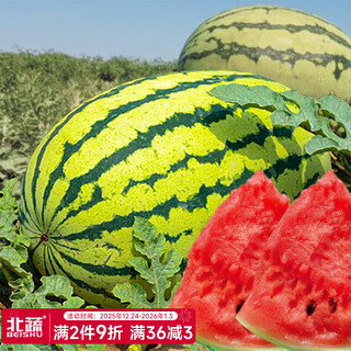 Beishu 8424 watermelon seeds, early maturing special melon fruit, no pruning, 50 pieces of lazy watermelon seeds