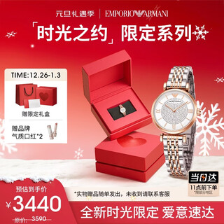 Emporio armani watch for women, gypsophila ar1926 fashionable diamond-set english watch, birthday and christmas gift box for girlfriend