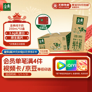 Yili jindian pure milk 250ml*12 boxes 3.6g milk protein native high calcium new year gift box produced in october