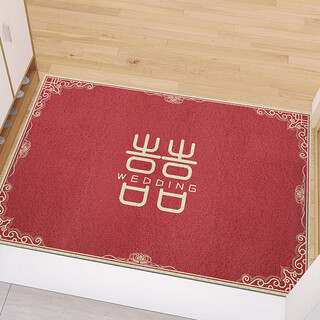 Fantasy festive door mats entrance door household floor mats entrance door wire loop foot mats door mats bedroom carpet hi 50x80cm