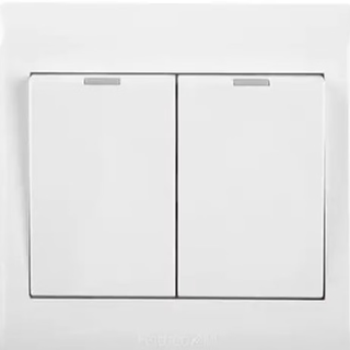 Double control switch 10a