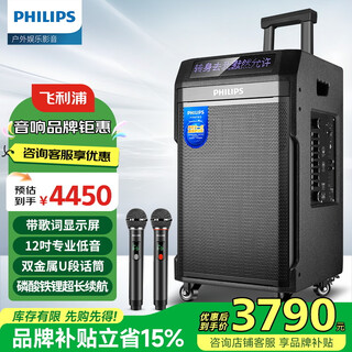 Philips square dance audio outdoor stage high-power mobile portable trolley commercial conference speaker wireless bluetooth high volume karaoke amplification with dual microphone sd190 karaoke system + horn tweeter