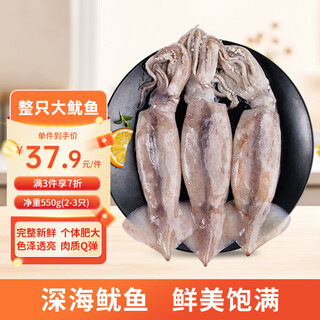 Mega fresh frozen whole large squid (2-3 pieces) net weight 550g whole squid deep sea fishing