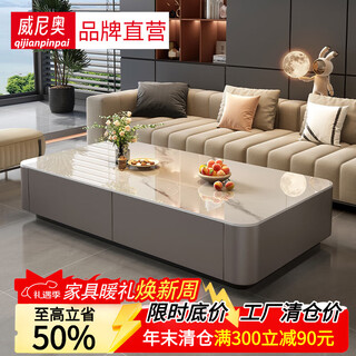 Weiniao modern simple slate coffee table living room light luxury high-end mobile small coffee table small apartment solid wood coffee table rectangular 120*60 snow mountain white slate solid wood gray cabinet