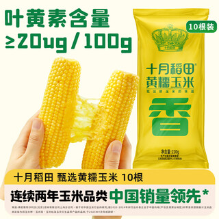 October rice field yellow sweet waxy corn 10 4.4jin jin equals 0.5kg northeast sticky corn on the cob vacuum packed whole grain breakfast new rice