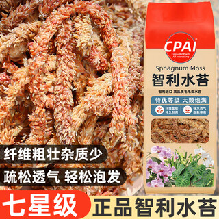 Cpai chile imported sphagnum caterpillar phalaenopsis plant orchid special soil turtle hibernation moisturizing dry moss chile imported high-quality caterpillar sphagnum moss 1000g no specifications