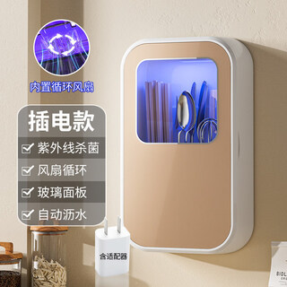 Tuojin chopstick sterilization and drying all-in-one machine home wall-mounted punch-free quick chopstick storage box chopstick tube chopstick cage champagne color - plug-in type + plug