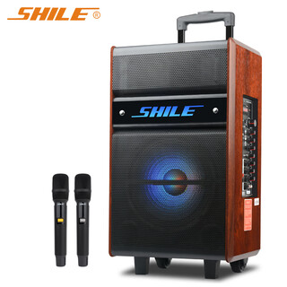 Shile crown no. 5 12-inch bass trolley outdoor square dance mobile portable bluetooth battery audio store promotion high-power amplifier 12-inch trolley speaker with dual handheld