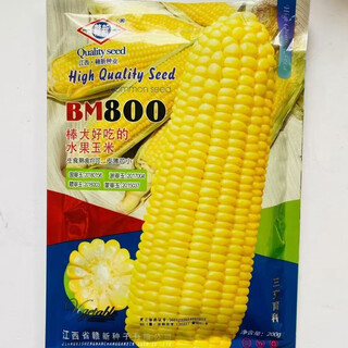 Суперсладкие фрукты, семена кукурузы bm800, новое молоко, ароматные, сырые, свежие продукты, овощи и фрукты четырех сезонов, семена сладкой кукурузы bm800, упаковка по 50 грамм.