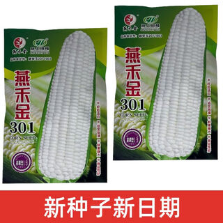 Сладкие восковые фрукты, молоко, кукуруза, семена кукурузы, восковая кукуруза, сахар, высокодоходные семена сладкой кукурузы yanhejin 301, 100 г/пакет