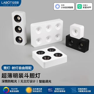 Laberta bold lamp surface-mounted spotlight without main light living room lighting anti-glare four-head square ceiling downlight bedroom lamp ultra-thin all black-double head model 18w spotlight access mijia app