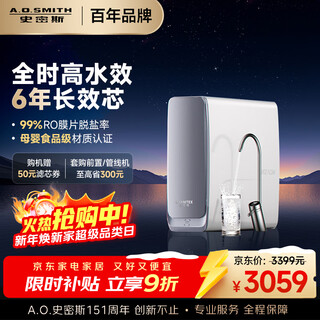 Smith (a.o.smith) garnet blue whale water purifier household water purifier kitchen special undercounter direct drinking machine all-in-one kitchen 1000g cr2500ae1 national subsidy