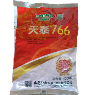 Семена кукурузы tiantai 766, высокая урожайность, красный стержень, большая палка, отсутствие цветов, высокая устойчивость к болезням, одно зерно, оригинал национального одобрения, каждый мешок водорастворимых удобрений + пакет контроля роста кукурузы, tiantai 766, пять мешков, 4200, большое количество, выгодная цена