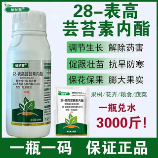Authentic 28-epoxy brassinoids, internal lipids, rooting and strengthening seedlings, plants to regulate growth and increase yields, foliar fertilizers, pesticides, whole box wholesale, brassinoids 500g, 2 bottles