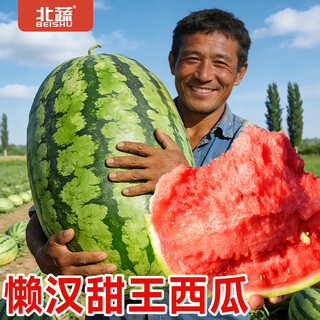 New varieties of beishu kirin watermelon seeds, lazy man, southern meidu watermelon seeds, beishu lazy man sweet king watermelon seeds, about 20 seeds