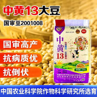 Thousand jin jin is equal to 0.5 kilogram. soybean seeds farmers plant in large fields with super high yield zhonghuang 13 soybeans zhonghuang 37 farmers plant in large areas zhonghuang 13 soybean seeds 20jin jin is equal to 0.5 kilograms