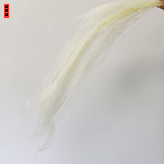 Asparagus immortal flower dream grass long hair grass immortal flower dried flower bouquet wedding bouquet home decoration flower material white