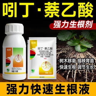 5% indole butyric acid, naphthalene acetic acid, general flower seedling cuttings, rapid rooting liquid, rooting and seedling strengthening agent 50g bag, explosive rooting liquid 5 bags