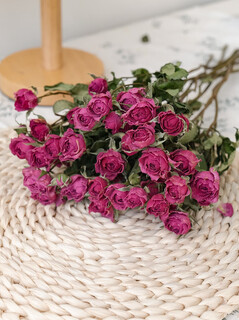 Dried flower multi-headed roses air-dried handmade flowers real flowers graduation photo living room decoration ins home furnishings ins style sophie bubbles 35 flowers