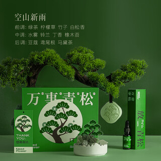 Yingtang everything green pine aroma diffuser gift box advanced diffusing stone ornament office new year birthday gift kongshan xinyu 10g