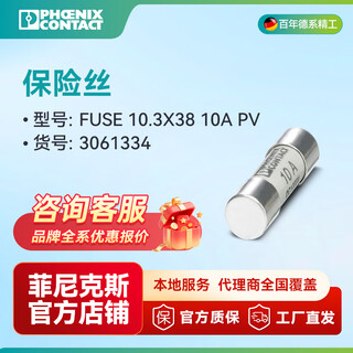 Phoenix fuse-fuse 10.3x38 10a pv-3061334 pack of 10
