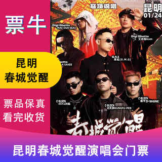 Kunming station dome rap 