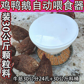 新款喂鸡食槽养鸡自动喂食器散养鸡喂鸡神器打不翻鸡鸭鹅牛筋盆 鸡鸭用60斤自动下料器50厘米24孔