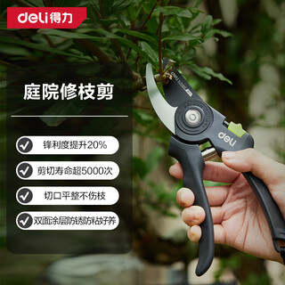 Deli fruit tree scissors, gardening scissors, labor-saving tree shears, garden potted flowers and trees, branch scissors, thick branch shears, fruit picking scissors, basic garden non-slip pruning shears