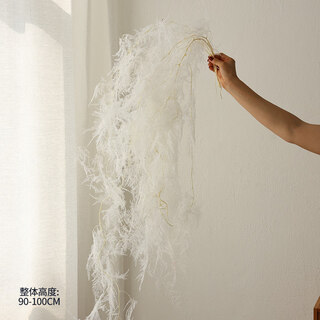 Qixianqi asparagus immortal flower dried flower bouquet living room decoration store hotel b&b decoration flower arrangement real flower eternal white asparagus bouquet __ 5 pieces