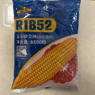 Семена кукурузы dika r1852, оригинальная упаковка, оригинальный обзор, оригинальная плотная посадка, высокая урожайность, защита от полегания, короткий стебель, национальный обзор нефрит Семена кукурузы dika r1852, оригинальная упаковка, оригинальный обзор, оригинальная плотная посадка, высокая урожайность, защита от полегания, короткие