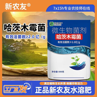 Trichoderma harzianum trichoderma lilacinus rhizobium устойчивый к корневой гнили почвенный общий микробный агент 1000 г * 4 пакетика