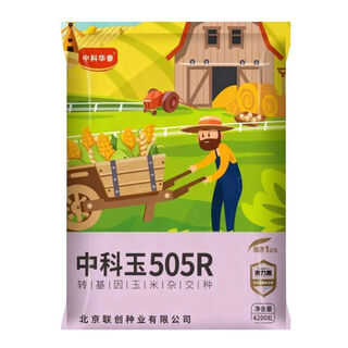 Wang yuanxing transgenic zhongke jade 505r high yield corn seed red shaft big stick pest-free corn seed 505 corn seed transgenic zhongke jade 505r high yield disease resistance pest-free original authentic new date 4200 capsules/bag
