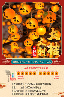 Xushansi 2026 new solar outdoor courtyard red lanterns waterproof and sunscreen antique style chinese style palace lanterns chinese style chandeliers big orange italian lantern string - 60 lights 15 meters family portrait - 2 pieces