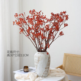 Preserved flower kangaroo paw dried flower bouquet with natural air-dried feeling real flower dried branches for bed and breakfast decoration dried flowers orange kangaroo paw 10 pieces + twill clay pot dried flower bag