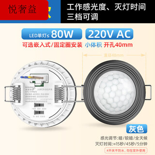 Human body sensor switch 220v delayed light control switch adjustable small head module embedded in concealed ceiling type gray 212 human body infrared sensor probe 220v_(adjustable single
