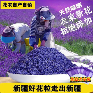 Wanhua gift lavender dried flower granules bulk filled sachet pillow aromatherapy to help sleep xinjiang lavender essential oil natural flavor french blue new flower special a grade 1000g