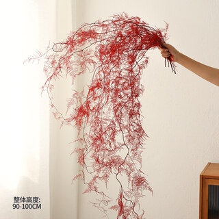 Qixianqi asparagus immortal flower dried flower bouquet living room decoration store hotel b&b decoration flower arrangement real flower eternal red asparagus bouquet __ 5 pieces