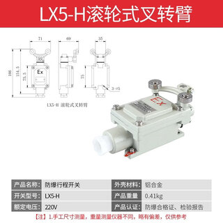 Explosion-proof travel switch lx5-15z/l/b/d/h/n bzx51 limit foot switch double pedal dlxk-10a lx5-5h type