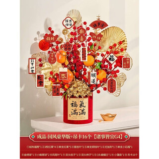 Xushansi 2026 new year new year living room decoration year of the snake spring festival new year's day decoration supplies fortune bucket ornaments finished product - national style deluxe edition + 16 elevators suitable for everything g4 no specifications