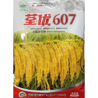 Asarum 607 hybrid rice seed national approved long-grain fragrant rice hybrid rice seed medium rice seed 1jin jin is equal to 0.5 kg. packing of tsuenyou 607 500g