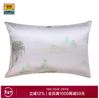 Aimu royal brocade silk printed pillowcase-dunhuang landscape (pair) hj11793 gray green 50cm*75cm*2 pieces