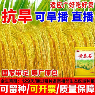 Wangyuanxing высококачественные настоящие семена риса huanghua, экономия оригинальных обычных адаптированных оригинальных семян зерновых семян длиннозернистый ароматный початок большого зерна высокая урожайность, включая скорость всхожести / экономия семян / гарантия качества / новые семена сезона.