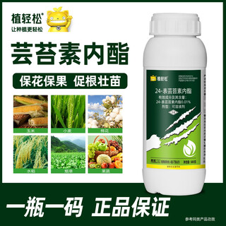 24 table high brassinolide brassinolide brassinolide fruit tree wheat brassinolide plant growth regulator 500g