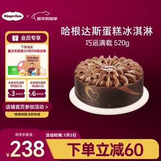 Haagen-dazs cleverly loaded cake ice cream 520g/6 inches birthday cake chinese valentine's day door-to-door delivery birthday gift