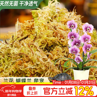 尚洋水苔约12L(二级)乌龟冬眠爬宠君子兰花苔藓盆栽蓬松保湿营养土