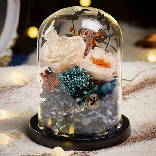 Yingtang preserved flowers dried flowers real flowers rose gift box bouquet ornaments for girlfriends’ birthdays champagne colored flowers