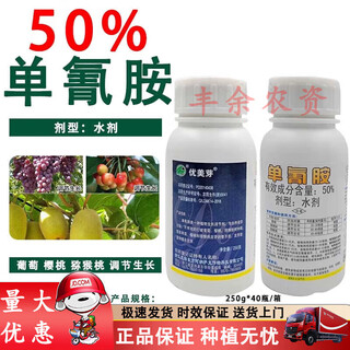 Beautiful bud 50% cyanamide grape kiwi nectarine sleep-breaking agent germination accelerator growth regulator 250g*1 bottle